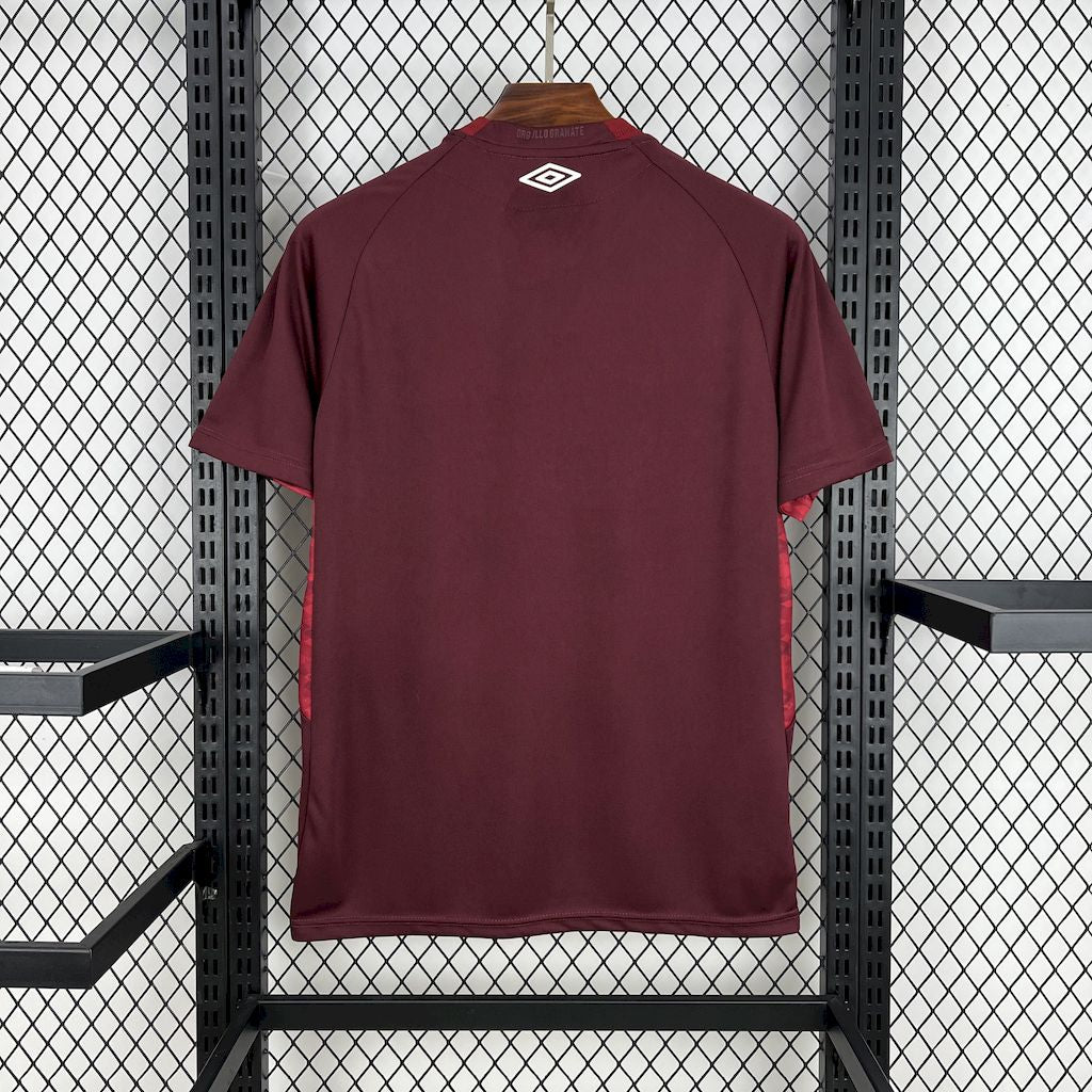 C.A. Lanús 2025-26