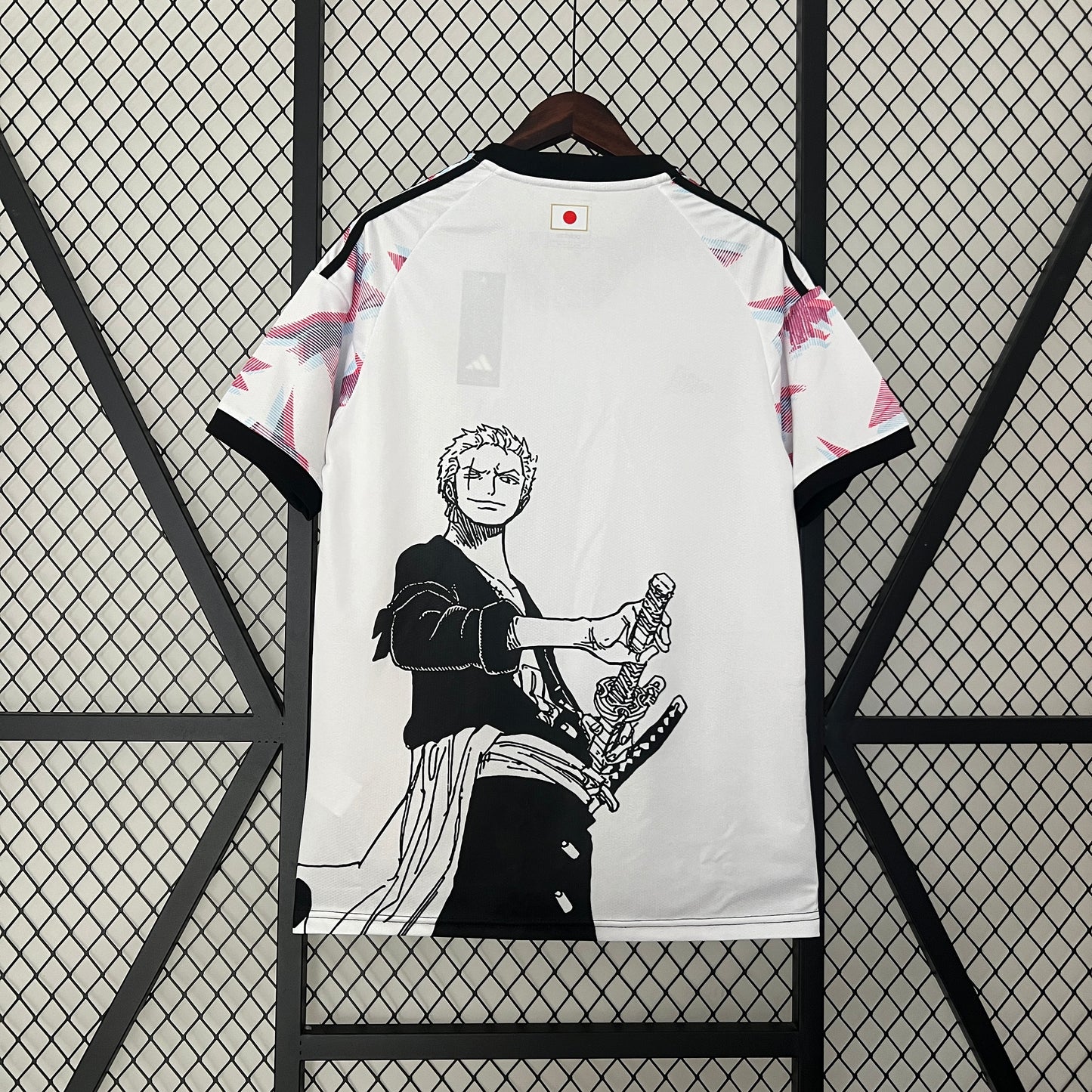 Especial Japón 2024-25