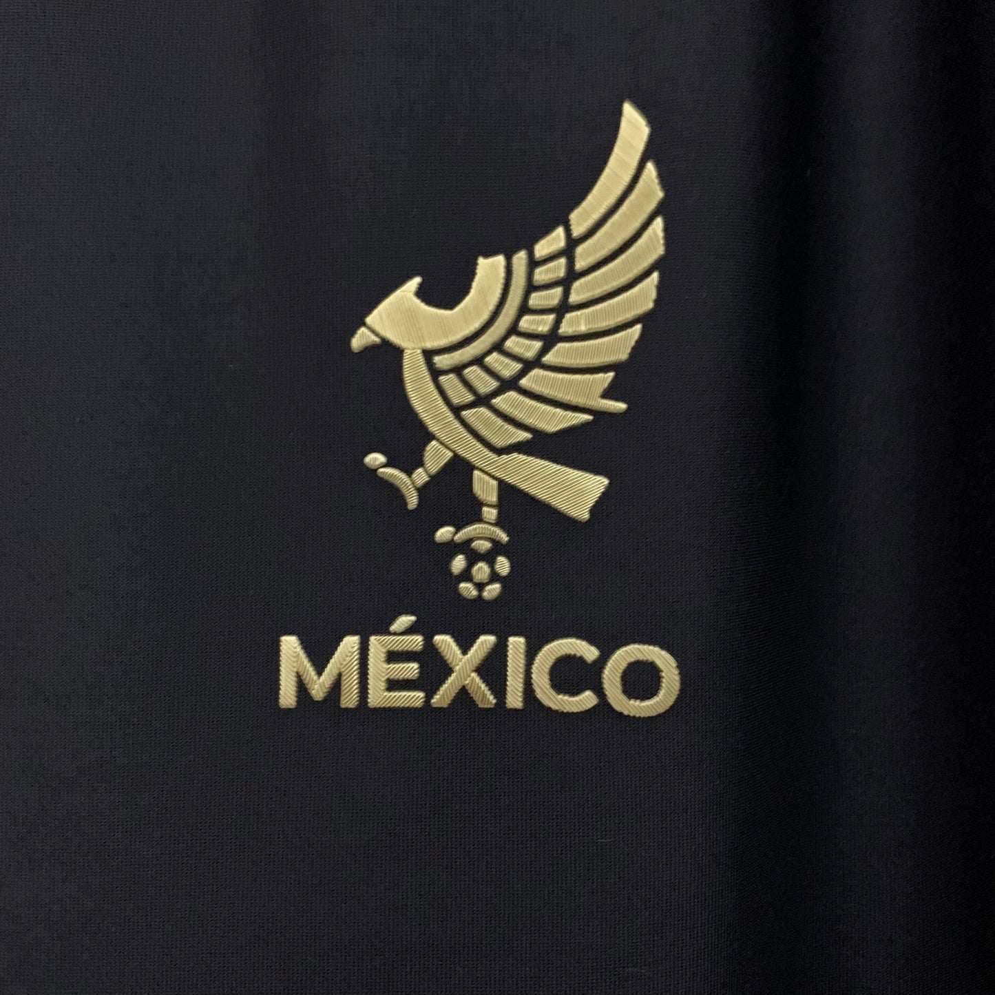 Mexico 2025-26