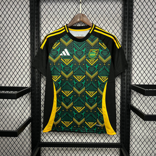 Jamaica Alternativa 2024-25_Acciones