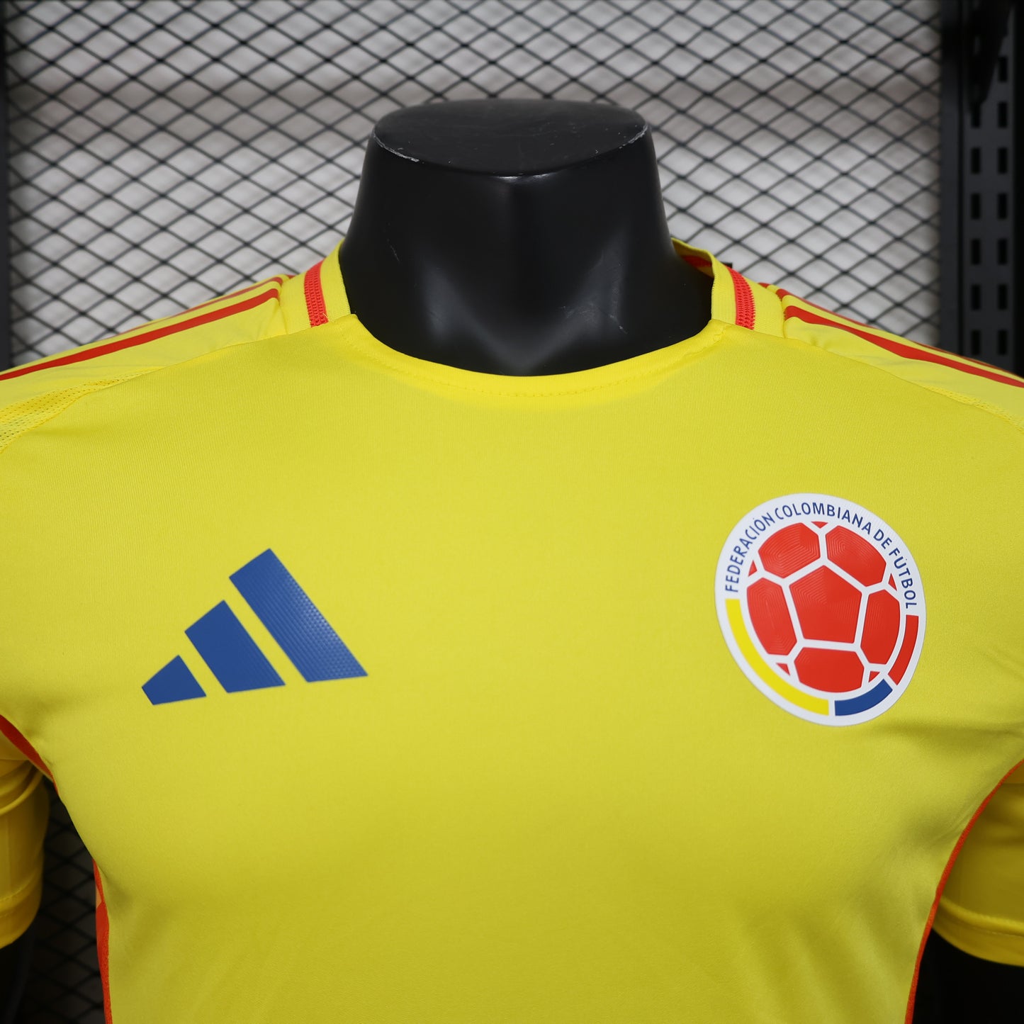 Colombia 2024-25 Player Version