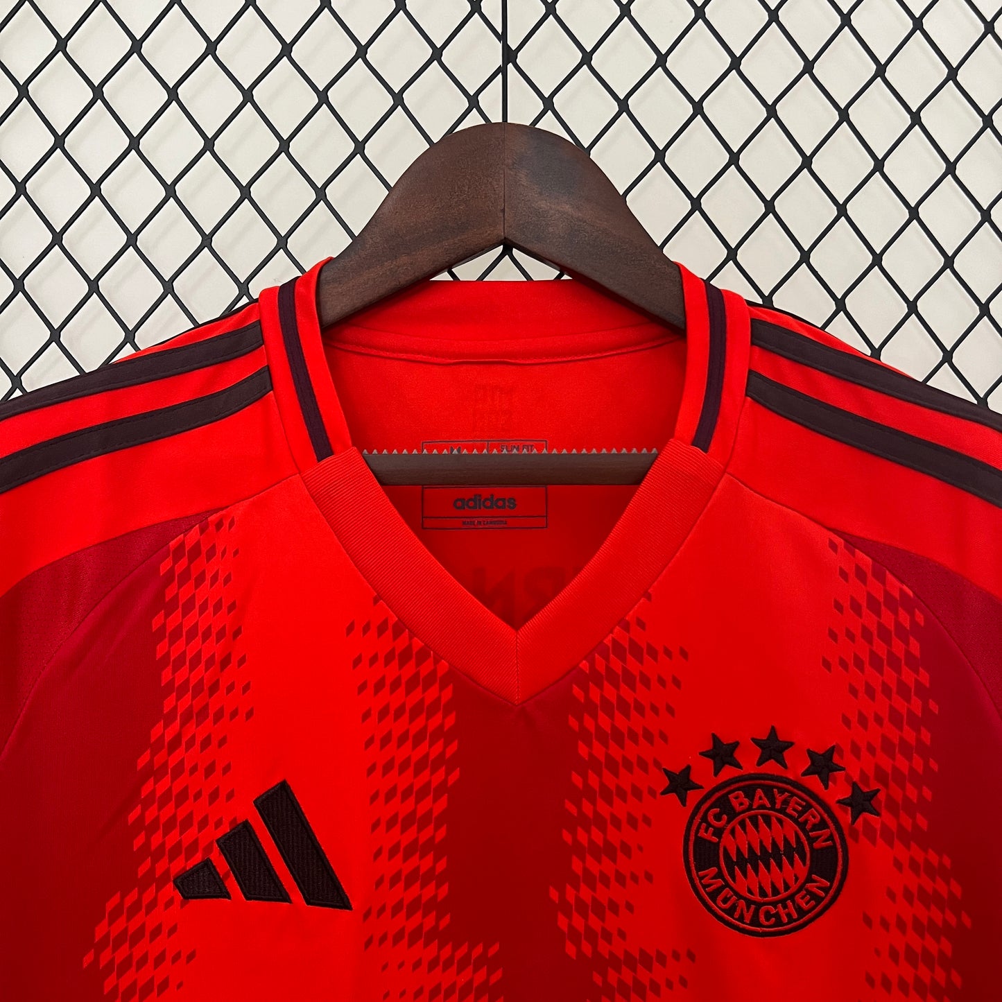 FC Bayern Munich 2024-25