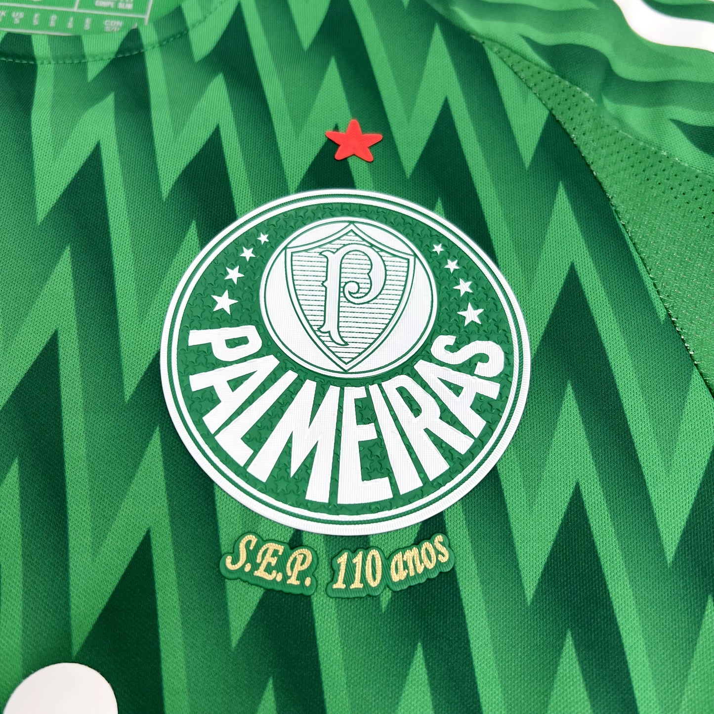 Palmeiras alternative 2024-25