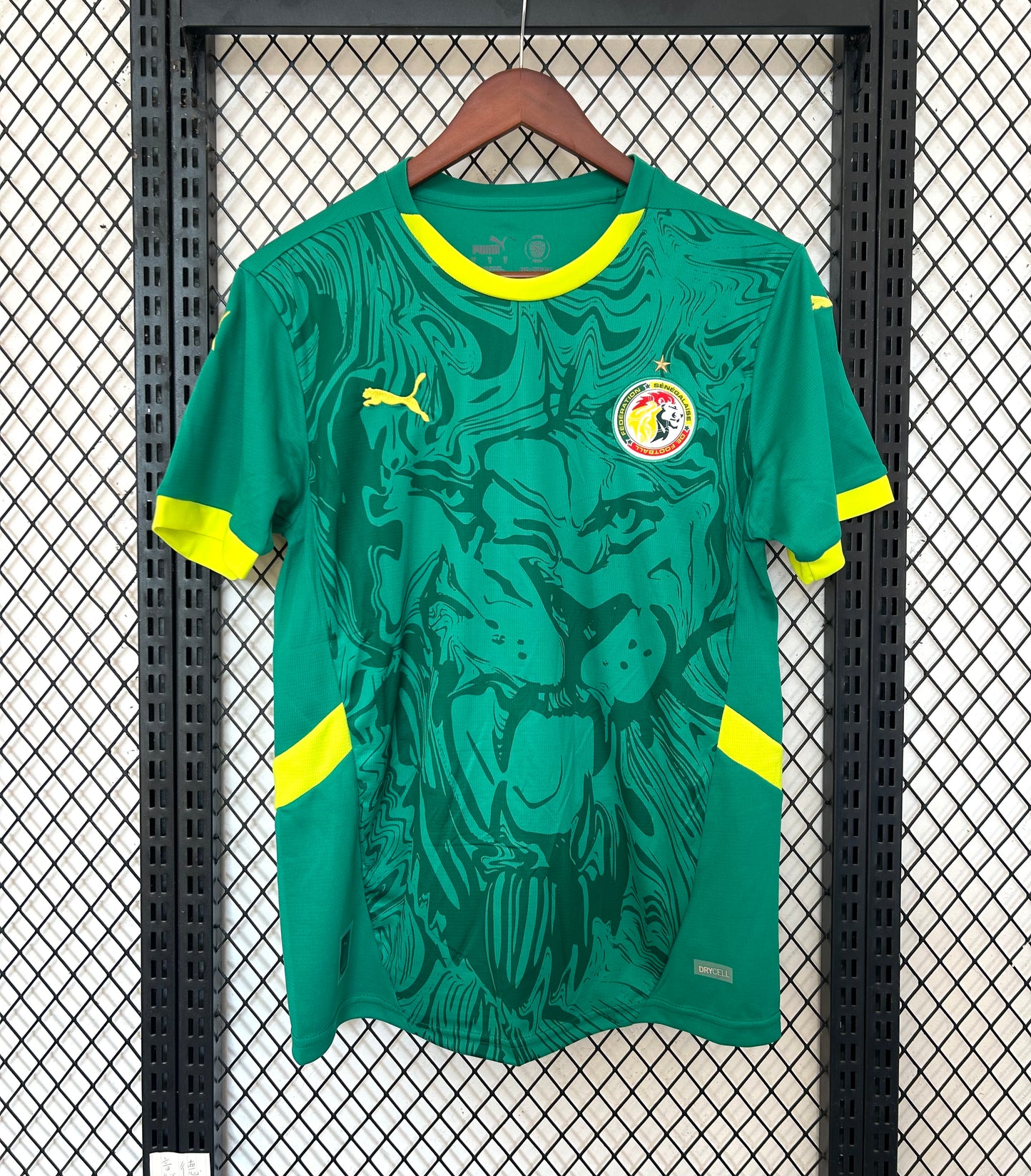 Senegal 2025-26 