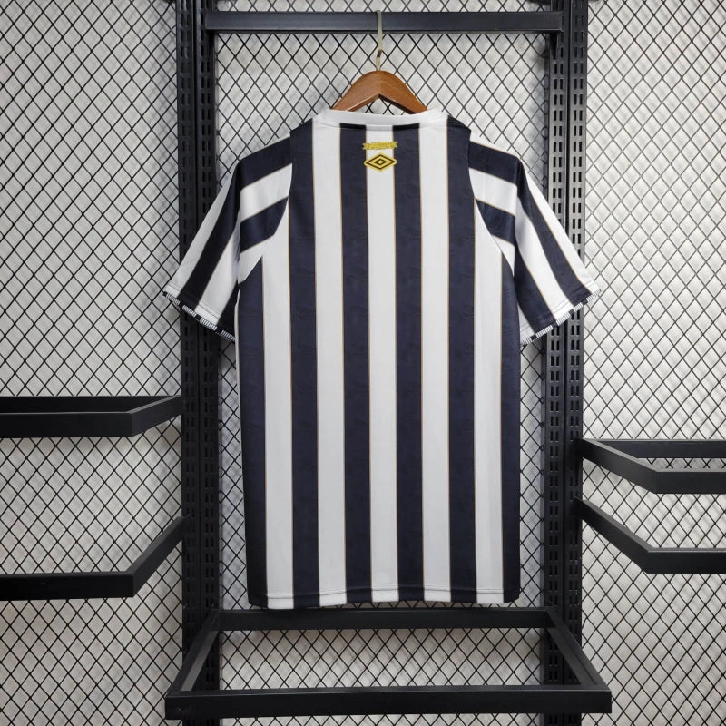 Santos alternative 2024-25