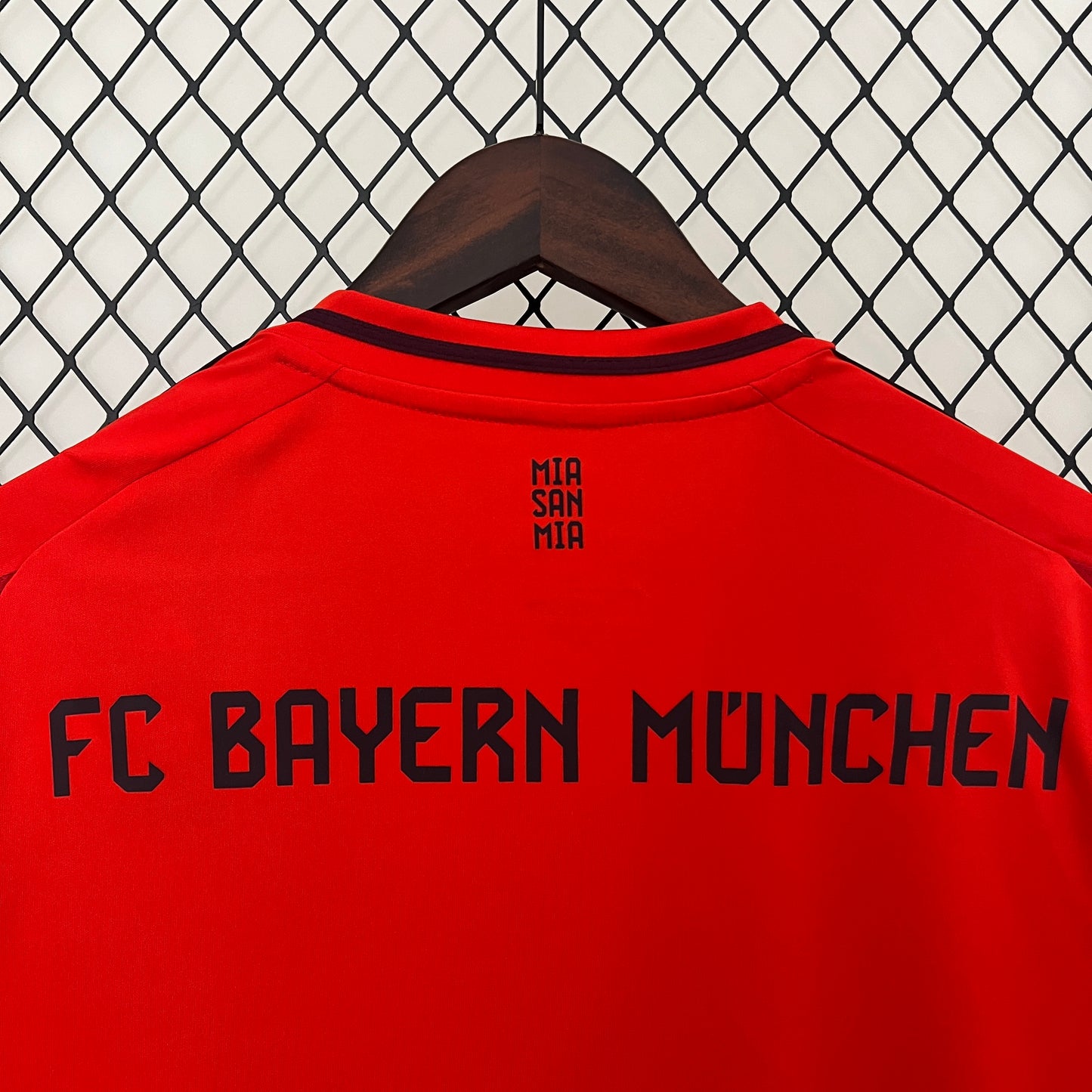FC Bayern Munich 2024-25