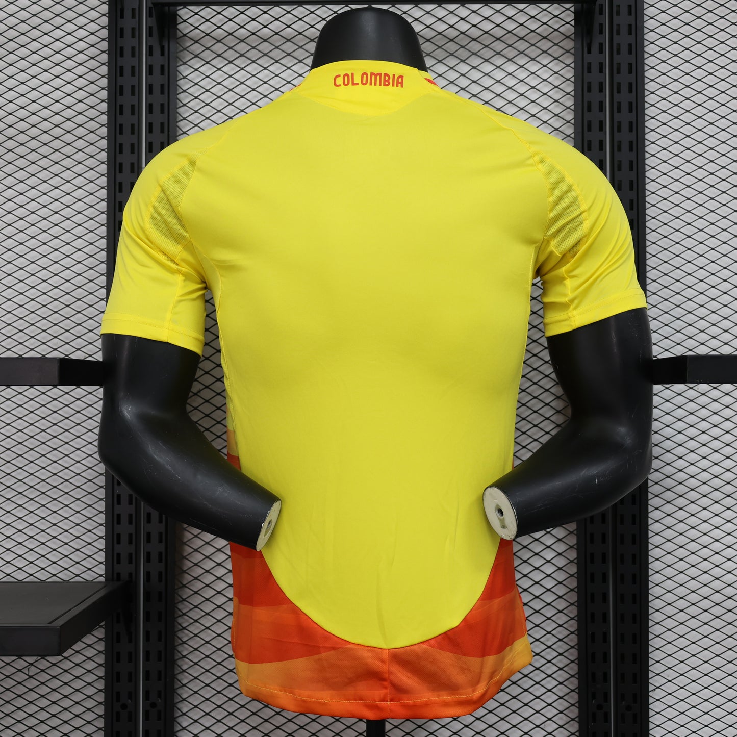 Colombia 2024-25 Player Version