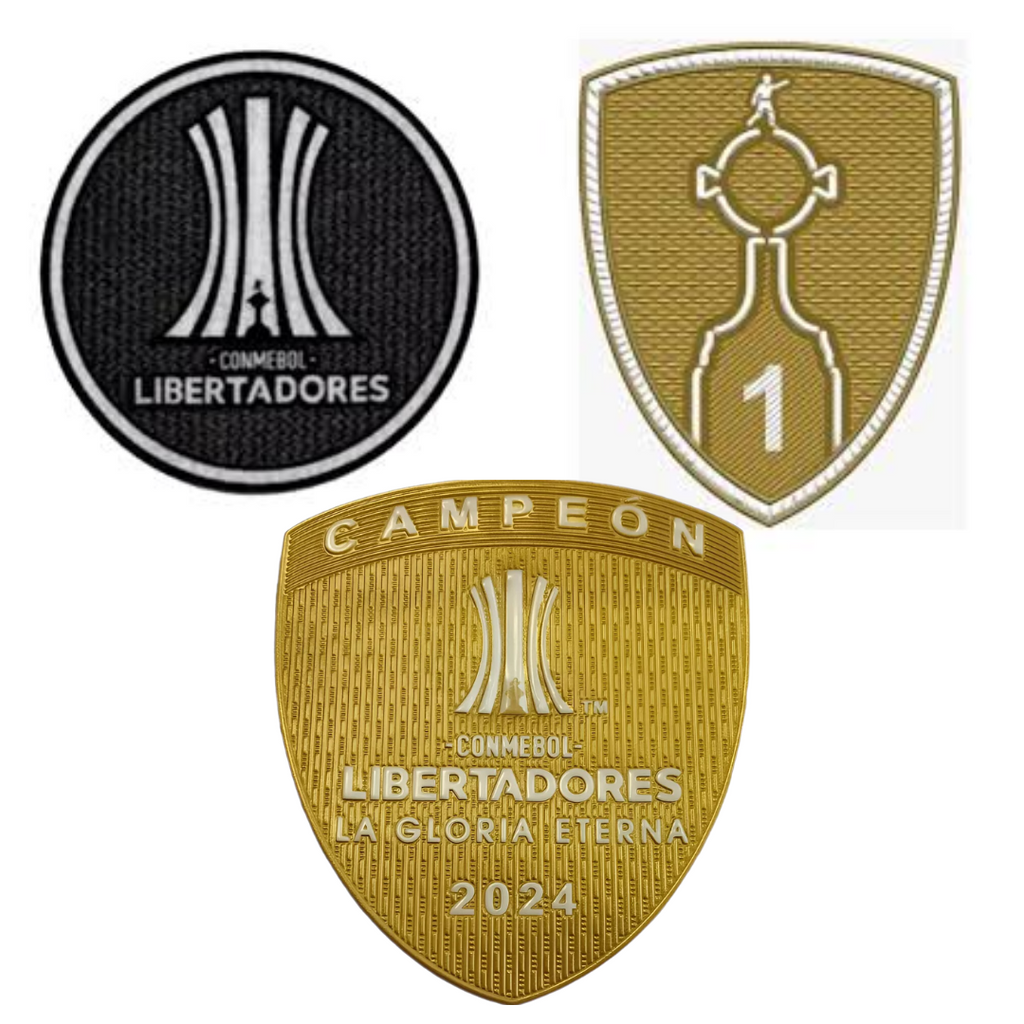 Alternativa de Botafogo 2024-25