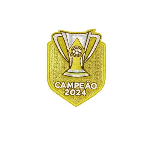Alternativa de Botafogo 2024-25