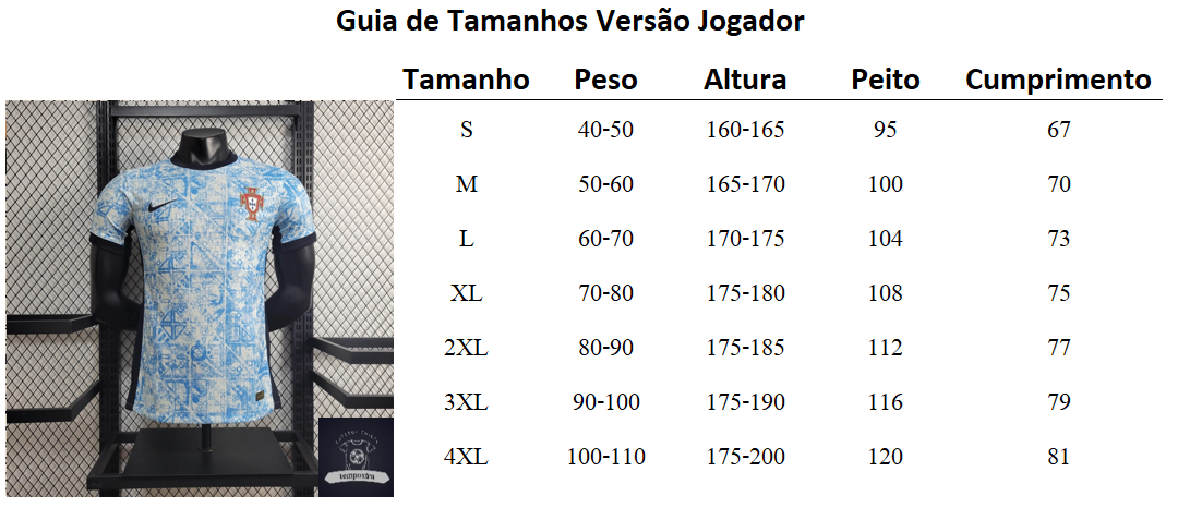 Versión del jugador del Santos 2024-25