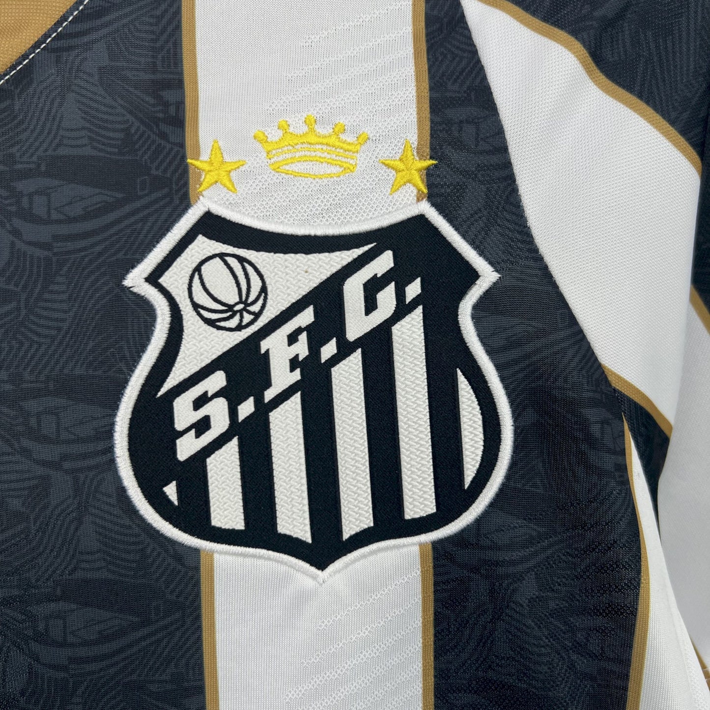 Santos alternative 2024-25