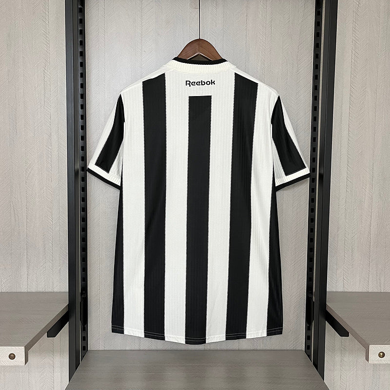 Botafogo 2024-25