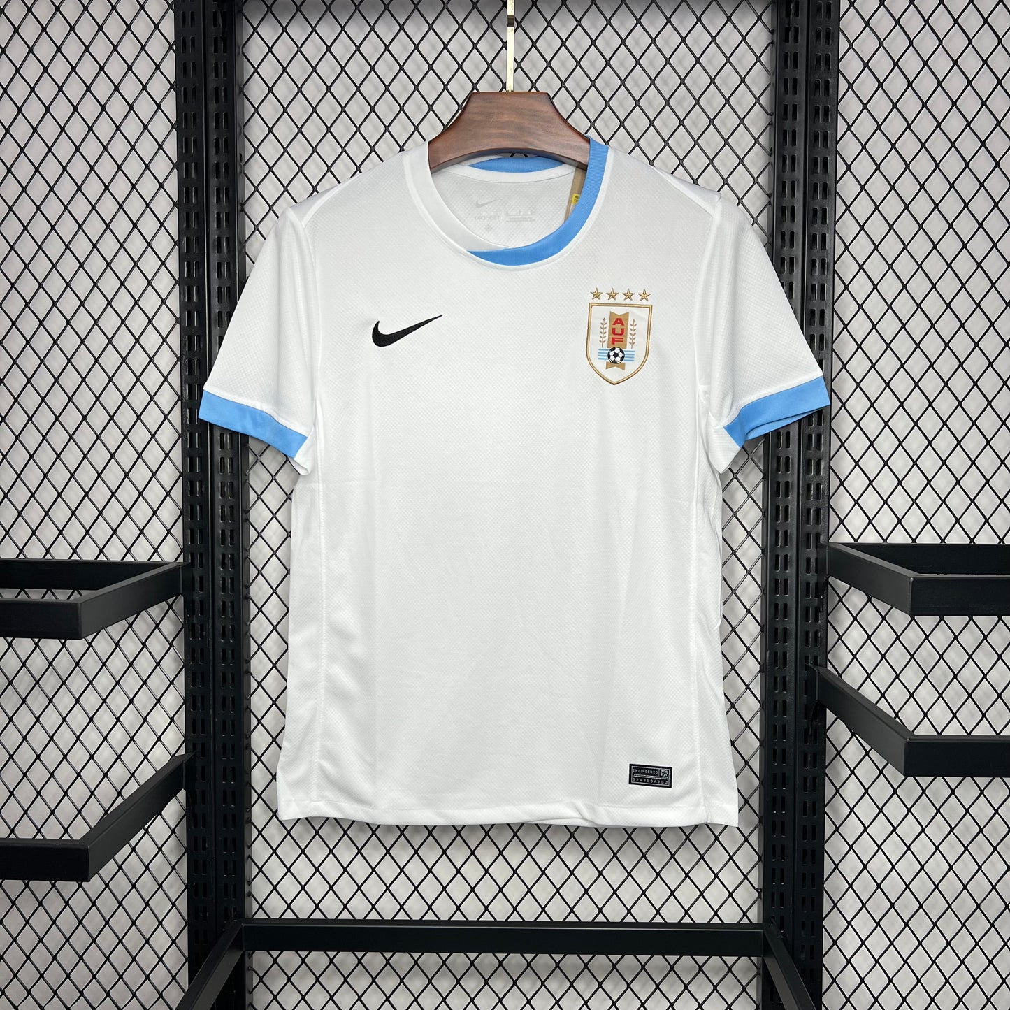 Alternative Uruguay 2024-25