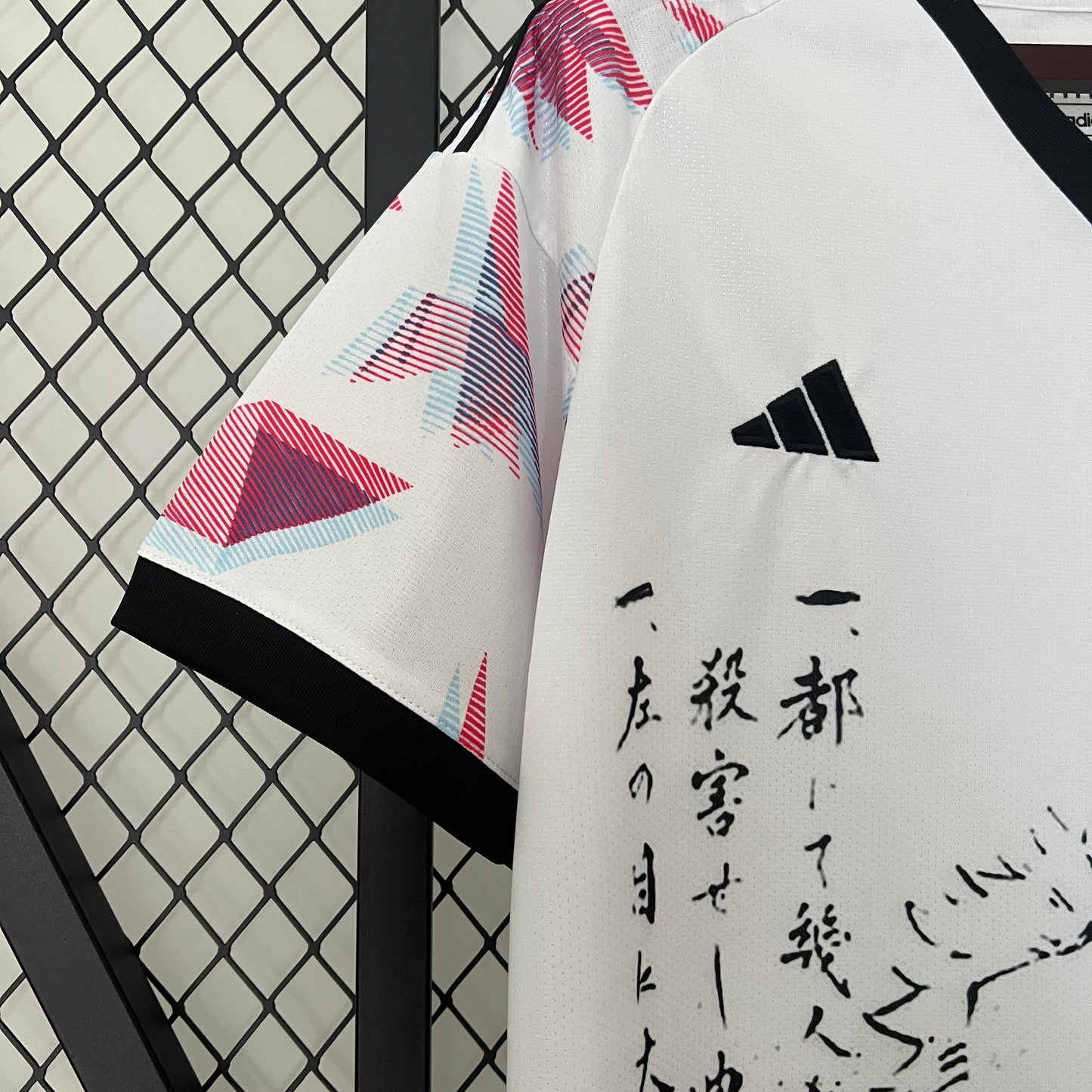 Especial Japón 2024-25
