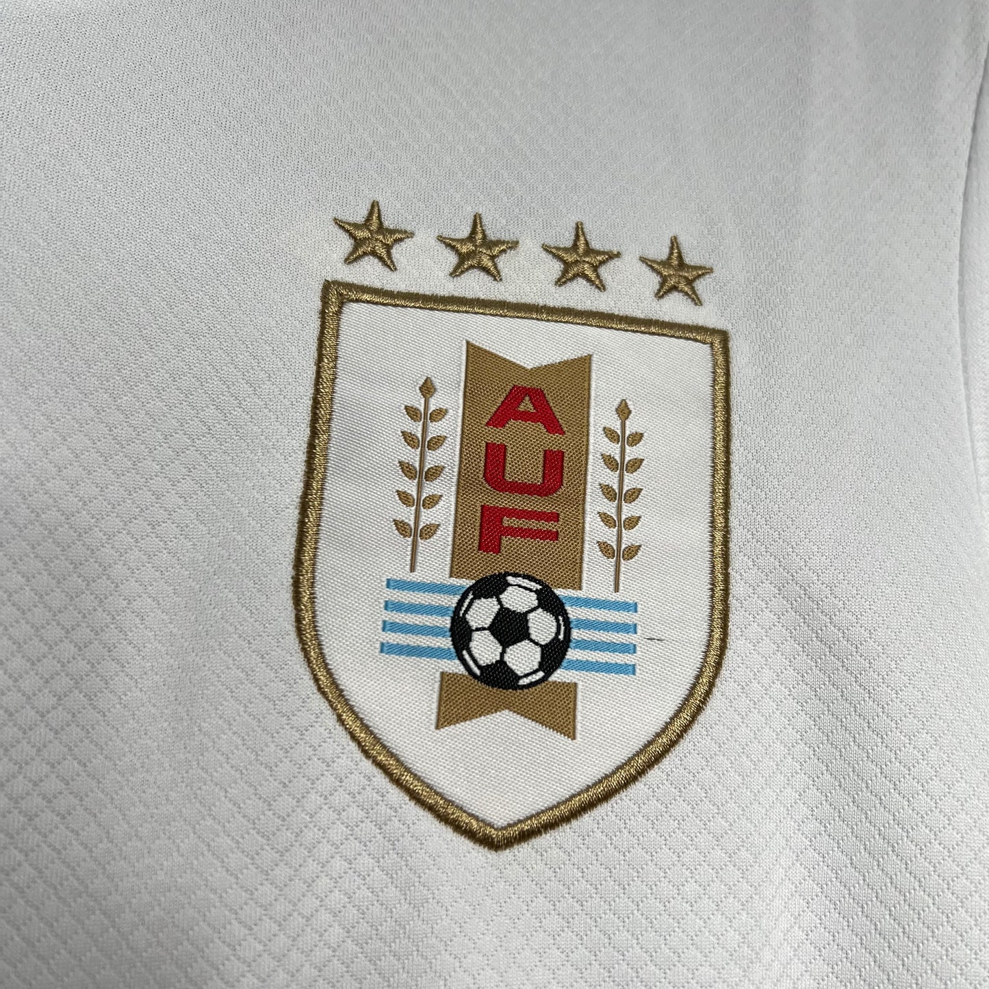 Alternative Uruguay 2024-25