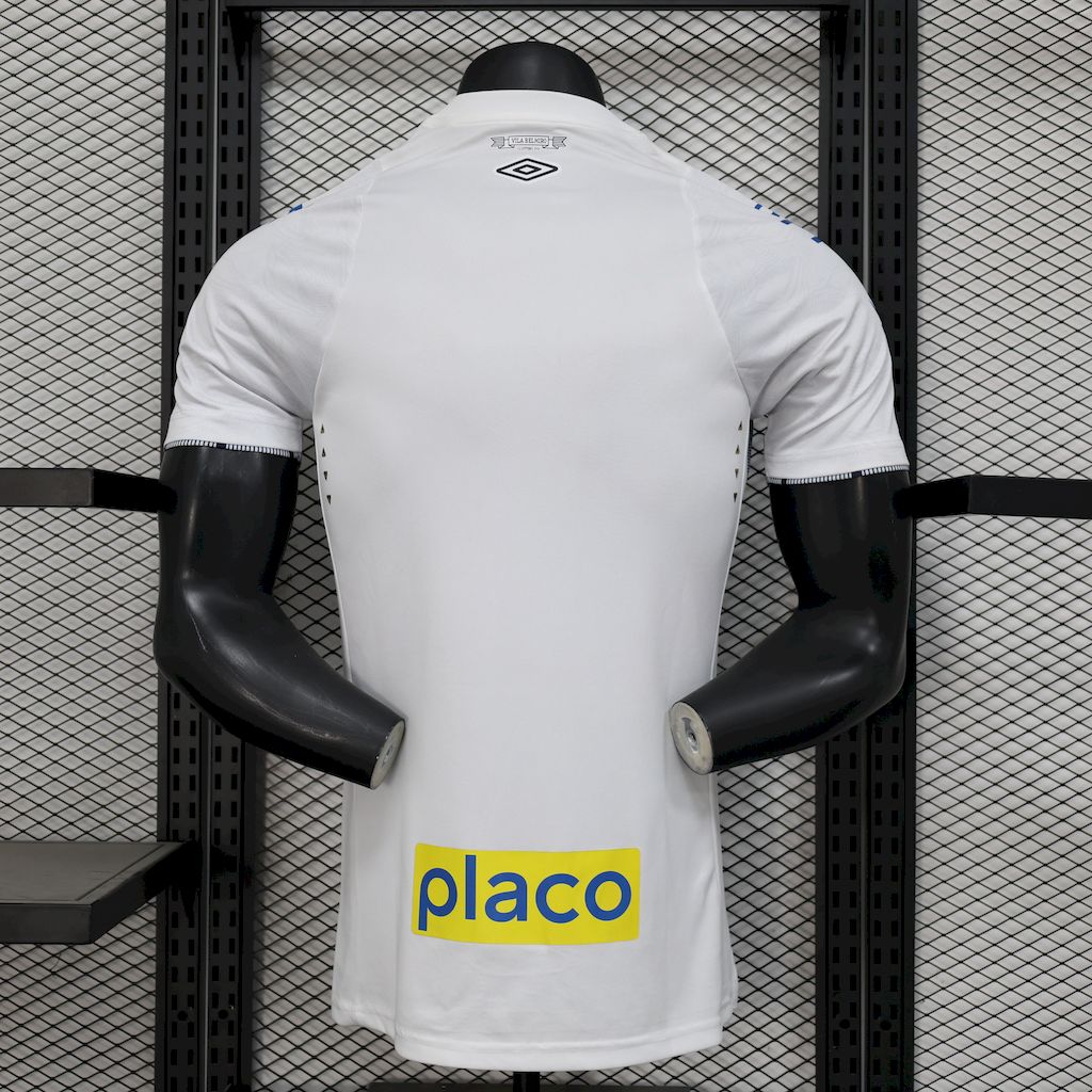 Versión del jugador del Santos 2024-25