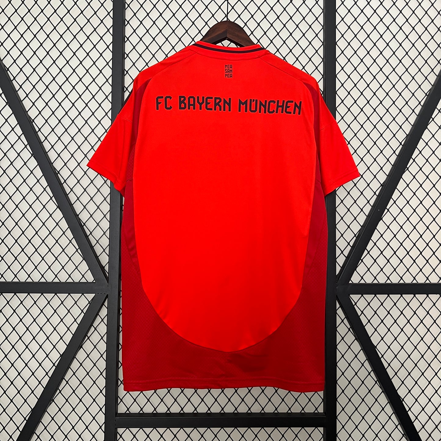 FC Bayern Munich 2024-25