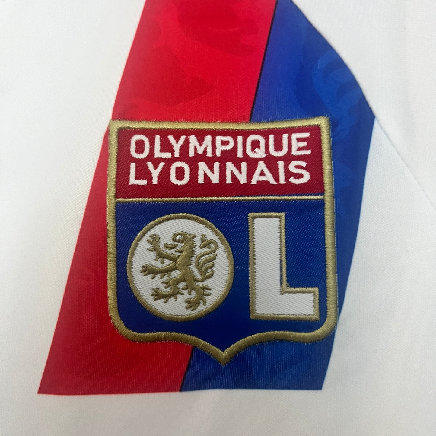 Olympique de Lyon retro 2010-11